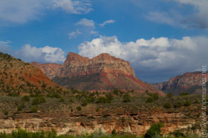The Road to Zion NP