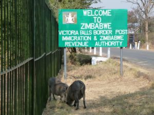Welcome to Zimbabwe